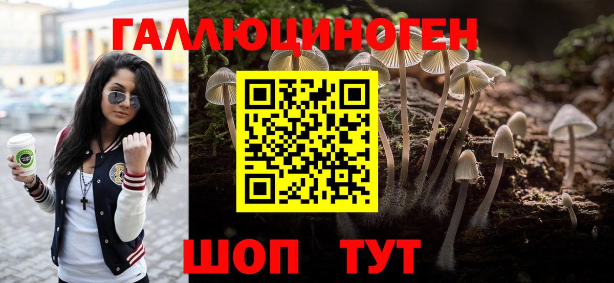 хочу   Псилоцибиновые грибы Magic Shrooms  Псилоцибиновые грибы мицелий  Вход с VPN  Чернушка 